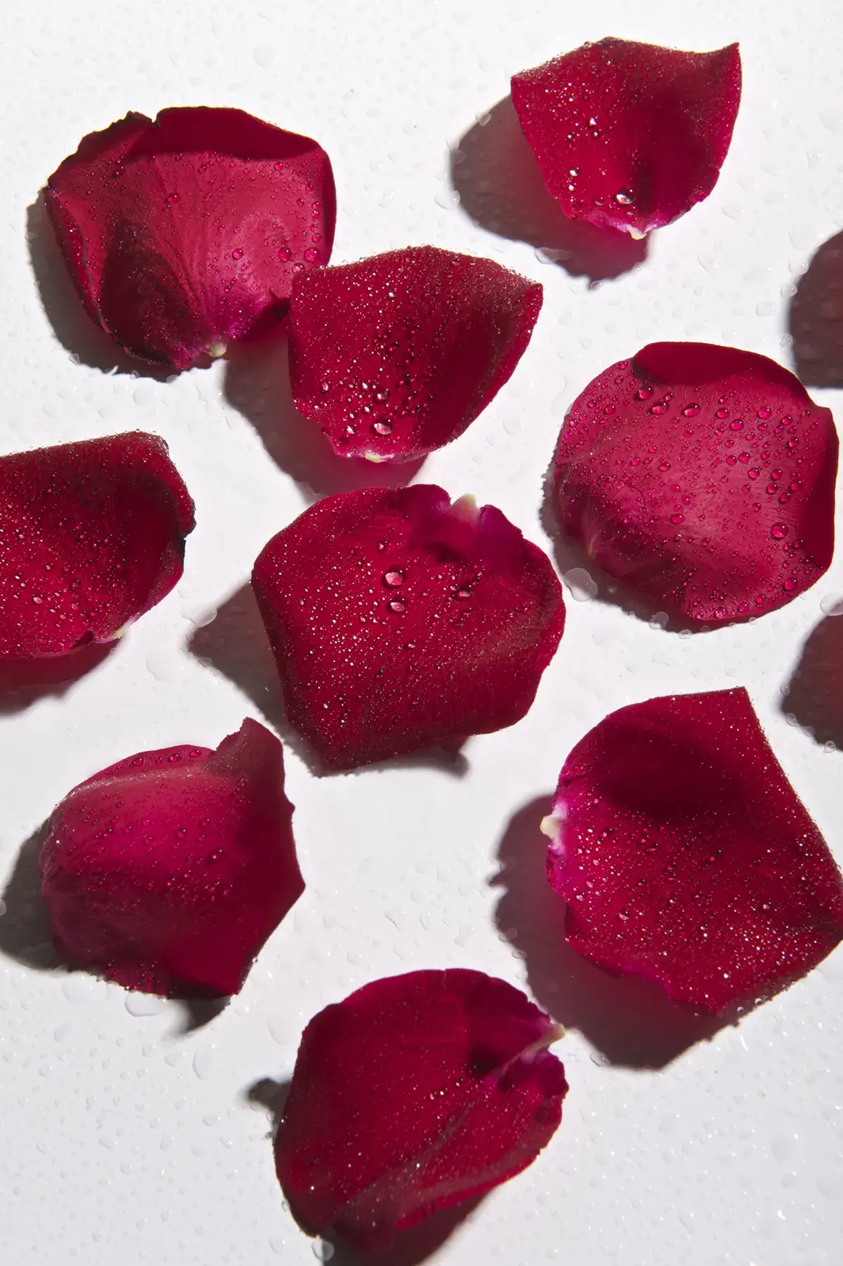 Red rose petals